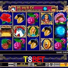 T8BET Brasília - Casino Guide